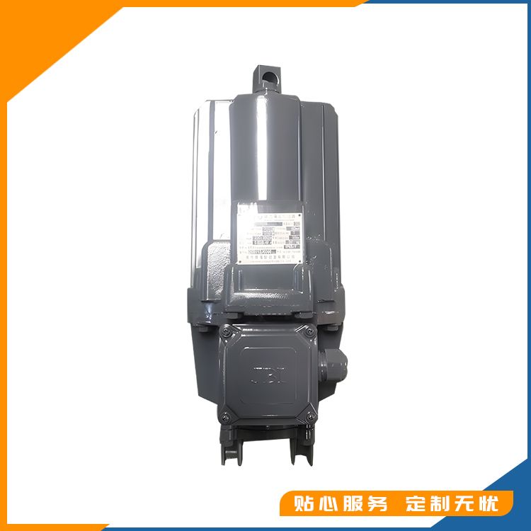 YTD,MYT2系列电力液压推动器